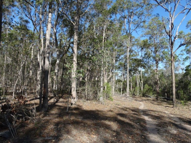 Lot 143 Newitts Road, Yandaran QLD 4673