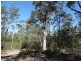 Lot 143 Newitts Road, Yandaran QLD 4673