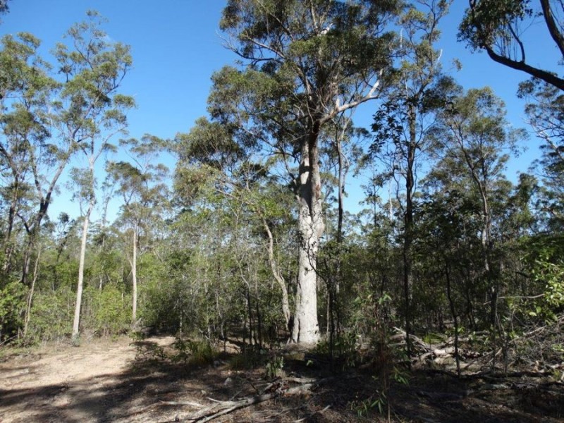 Lot 143 Newitts Road, Yandaran QLD 4673