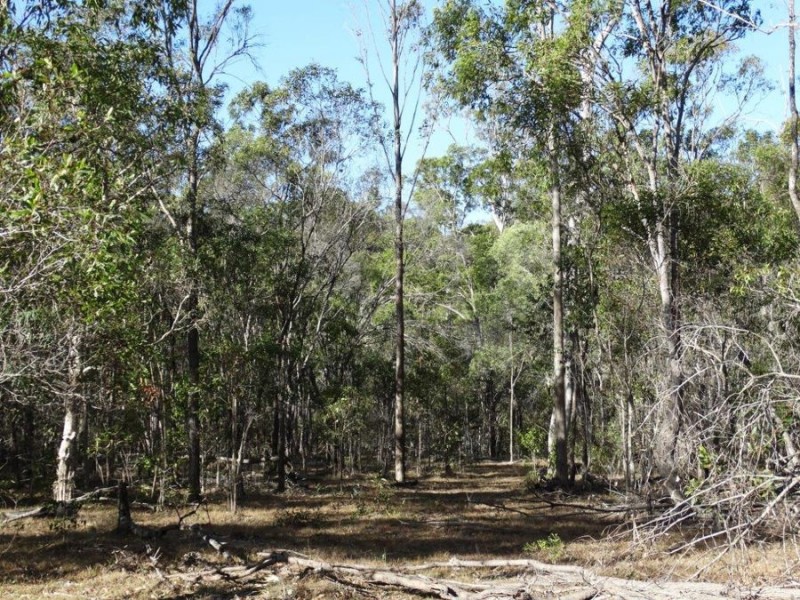 Lot 143 Newitts Road, Yandaran QLD 4673