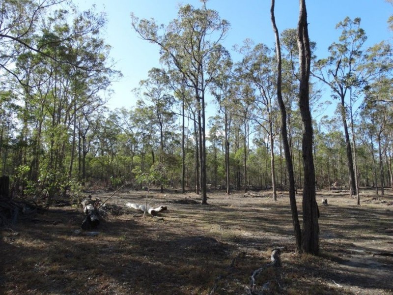 Lot 143 Newitts Road, Yandaran QLD 4673