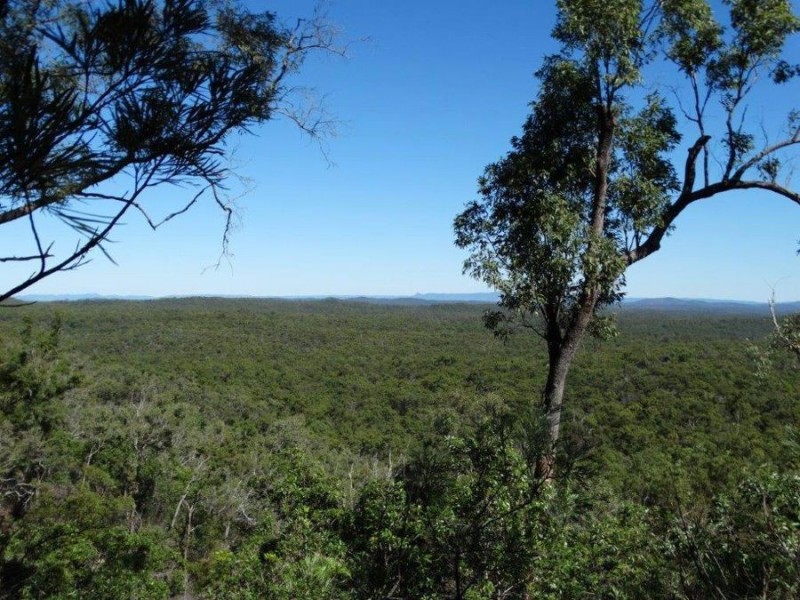 539 Mineral Road, Rosedale QLD 4674