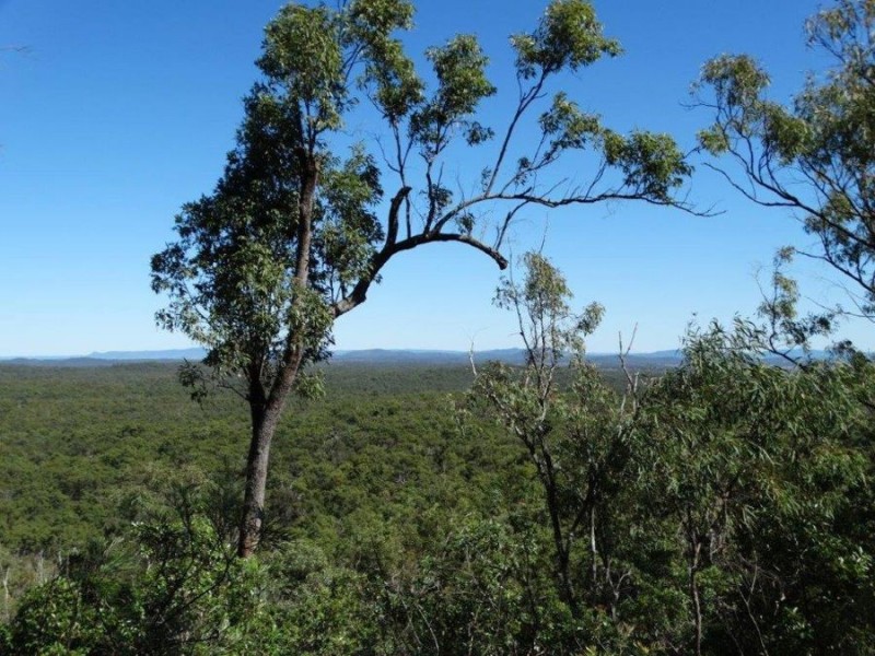 539 Mineral Road, Rosedale QLD 4674