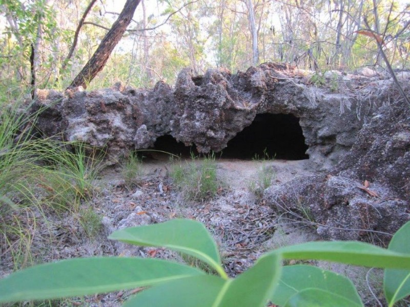 539 Mineral Road, Rosedale QLD 4674