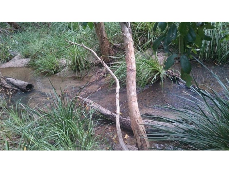 539 Mineral Road, Rosedale QLD 4674