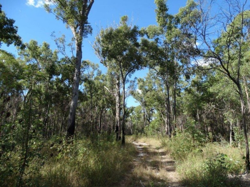 539 Mineral Road, Rosedale QLD 4674