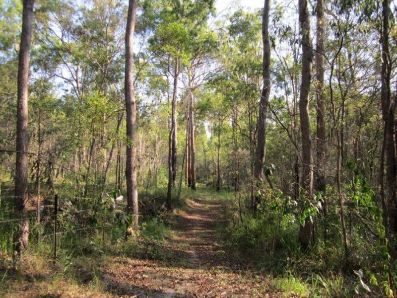 539 Mineral Road, Rosedale QLD 4674