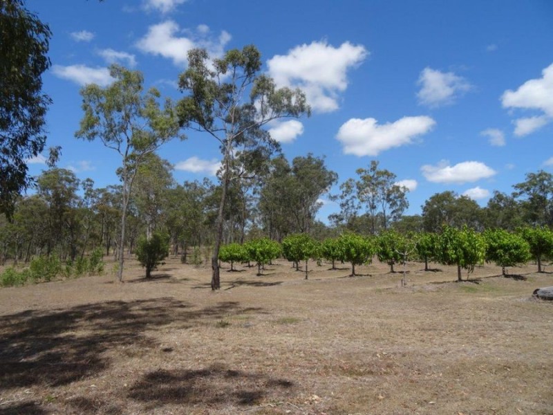 159 Taunton Road, Baffle Creek QLD 4674