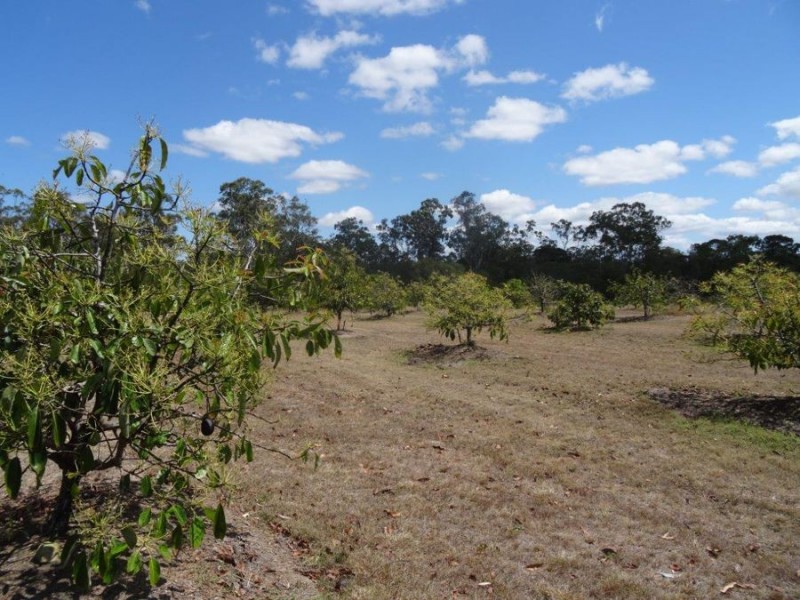 159 Taunton Road, Baffle Creek QLD 4674