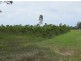32 Newtons Road, Rosedale QLD 4674