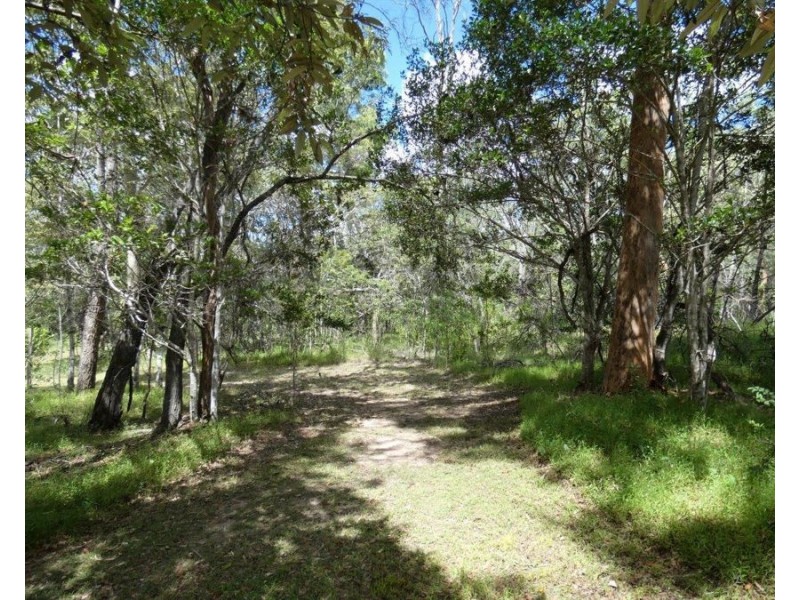 72 Brandts Road, Mullett Creek QLD 4670