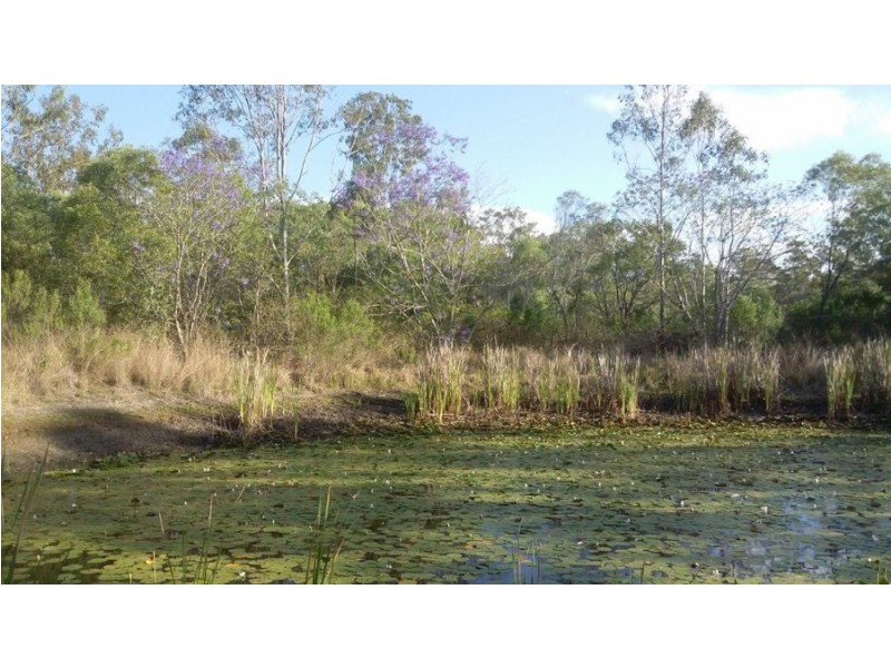 555 Diamond Hill Road, Rosedale QLD 4674