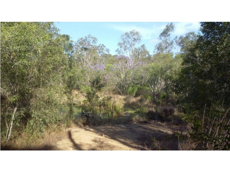 555 Diamond Hill Road, Rosedale QLD 4674