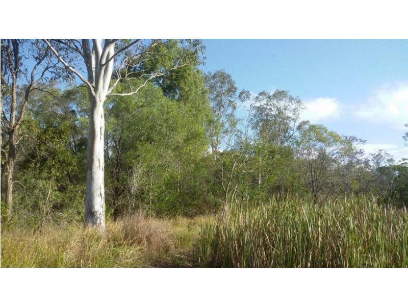 555 Diamond Hill Road, Rosedale QLD 4674