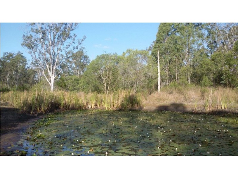 555 Diamond Hill Road, Rosedale QLD 4674