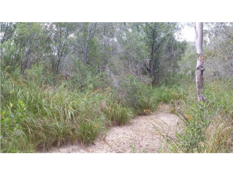 555 Diamond Hill Road, Rosedale QLD 4674