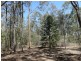 1085 Coast Road, Baffle Creek QLD 4674