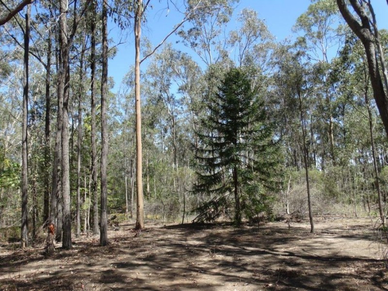 1085 Coast Road, Baffle Creek QLD 4674