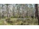 1085 Coast Road, Baffle Creek QLD 4674