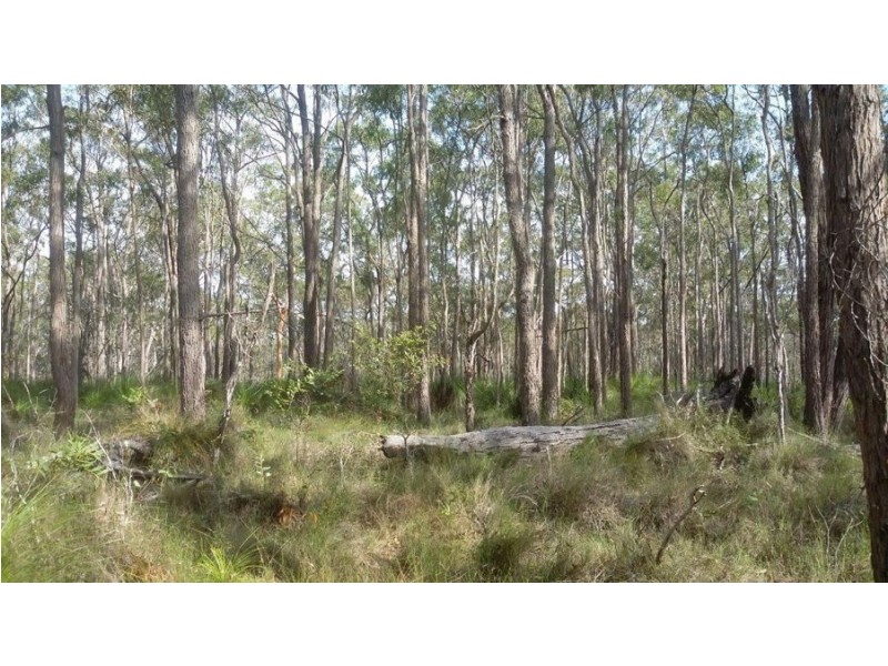 1085 Coast Road, Baffle Creek QLD 4674