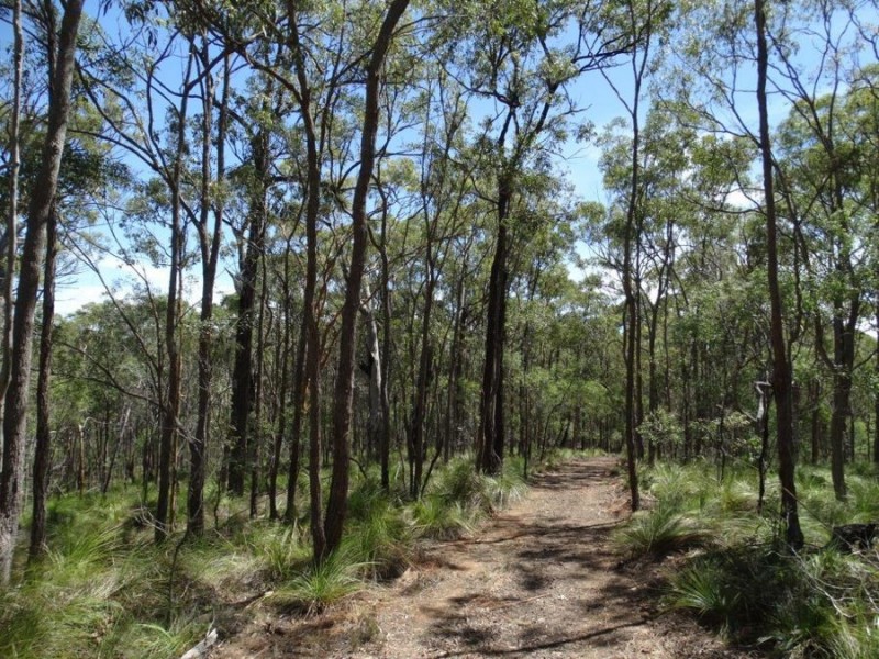 1085 Coast Road, Baffle Creek QLD 4674