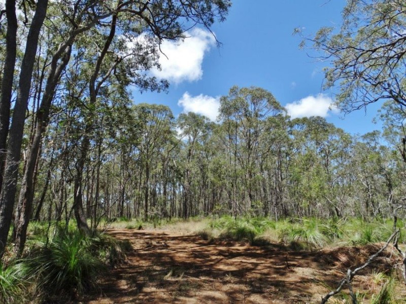 1085 Coast Road, Baffle Creek QLD 4674