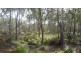 1085 Coast Road, Baffle Creek QLD 4674