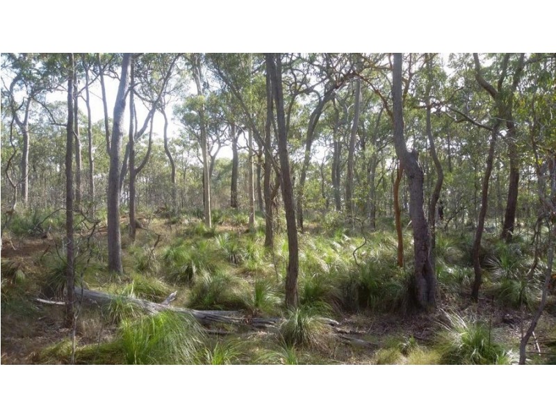 1085 Coast Road, Baffle Creek QLD 4674