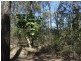1085 Coast Road, Baffle Creek QLD 4674