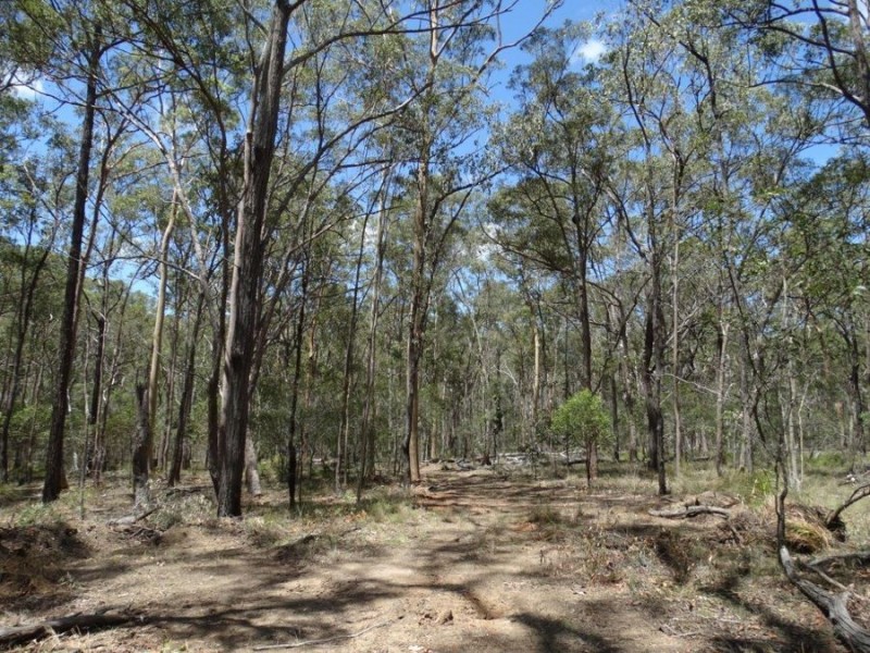 1085 Coast Road, Baffle Creek QLD 4674