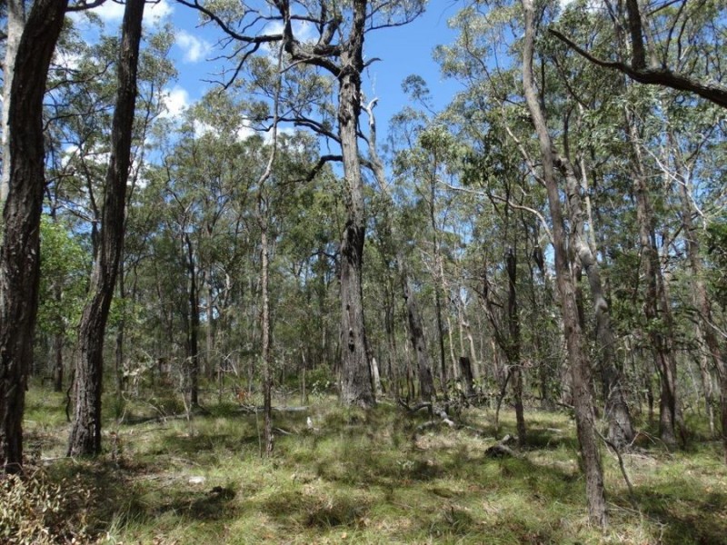 1085 Coast Road, Baffle Creek QLD 4674