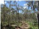 1085 Coast Road, Baffle Creek QLD 4674