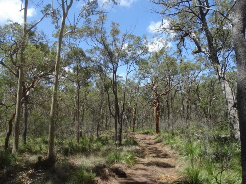 1085 Coast Road, Baffle Creek QLD 4674