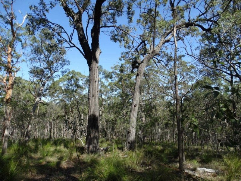 1085 Coast Road, Baffle Creek QLD 4674