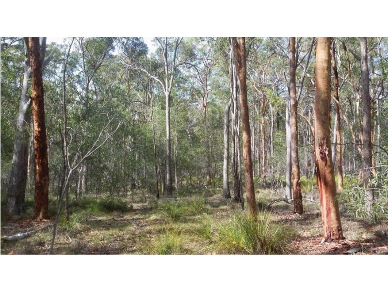 1085 Coast Road, Baffle Creek QLD 4674