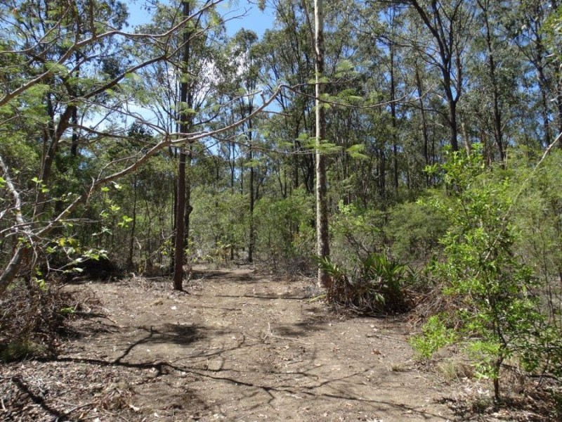 1085 Coast Road, Baffle Creek QLD 4674