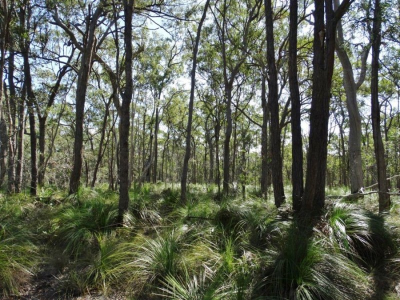 1085 Coast Road, Baffle Creek QLD 4674