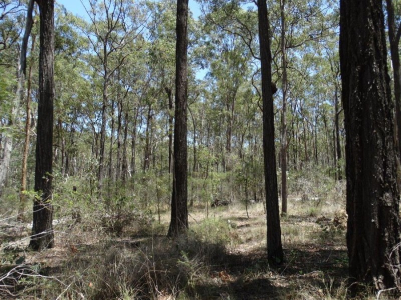 1085 Coast Road, Baffle Creek QLD 4674