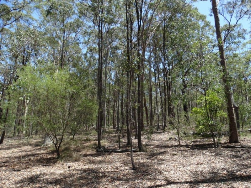 1085 Coast Road, Baffle Creek QLD 4674