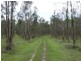 Lot 31 Lowmead Road, Miriam Vale QLD 4677