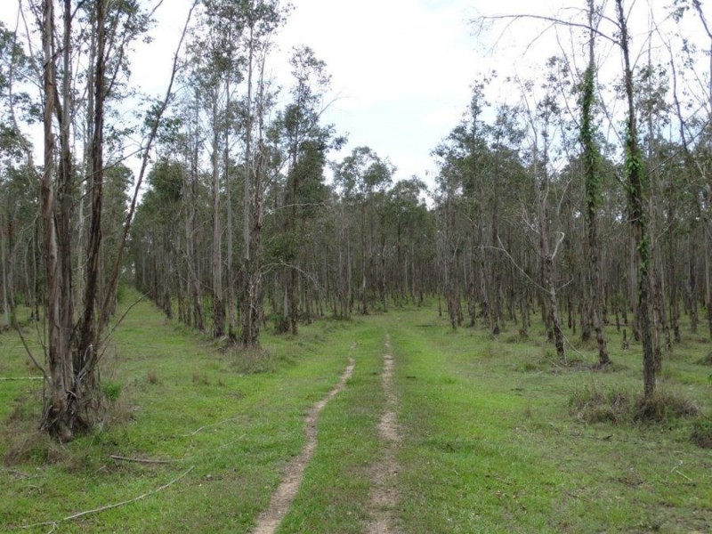 Lot 31 Lowmead Road, Miriam Vale QLD 4677