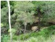 Lot 31 Lowmead Road, Miriam Vale QLD 4677