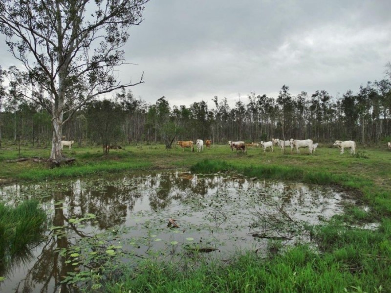 Lot 31 Lowmead Road, Miriam Vale QLD 4677