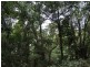 Lot 31 Lowmead Road, Miriam Vale QLD 4677