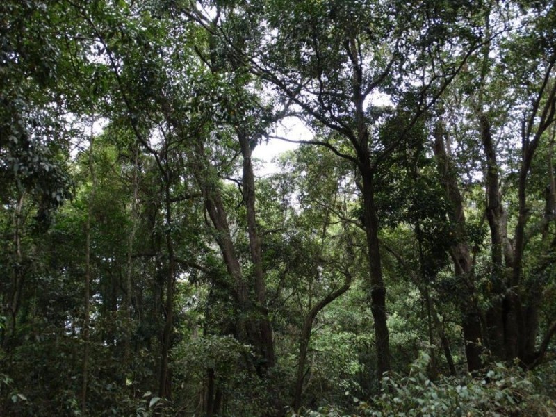 Lot 31 Lowmead Road, Miriam Vale QLD 4677