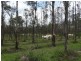 Lot 31 Lowmead Road, Miriam Vale QLD 4677
