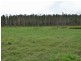 Lot 31 Lowmead Road, Miriam Vale QLD 4677