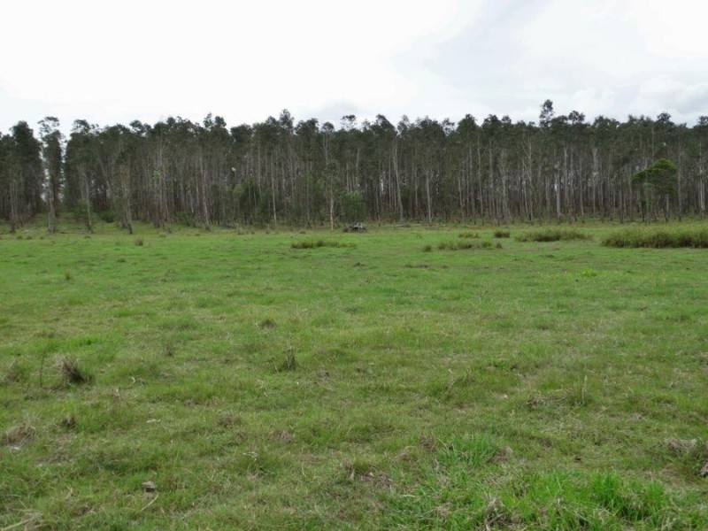 Lot 31 Lowmead Road, Miriam Vale QLD 4677