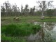 Lot 31 Lowmead Road, Miriam Vale QLD 4677