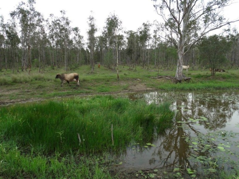 Lot 31 Lowmead Road, Miriam Vale QLD 4677